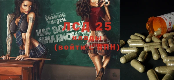 прущие грибы Алексеевка