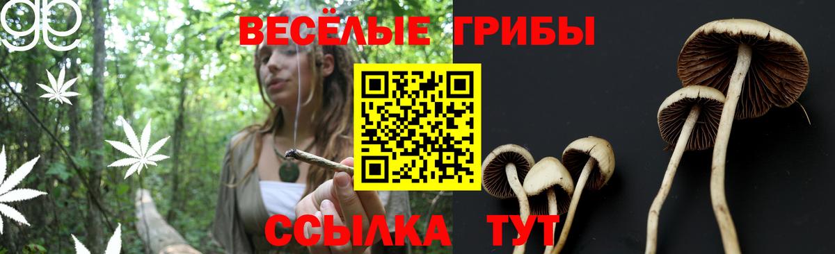 Пермь  Псилоцибиновые грибы ЛСД  Вход с VPN 